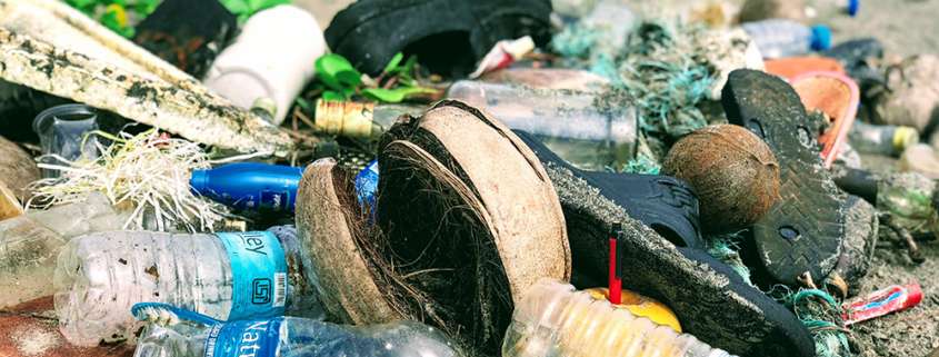 Como iniciar con la cultura del reciclaje.