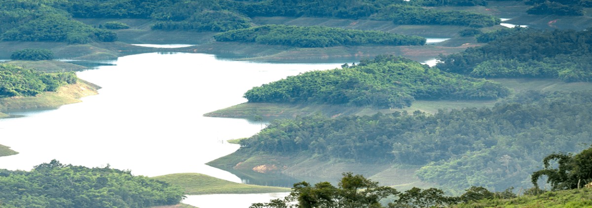 Compromisos para cuidar el ambiente desde el hogar.