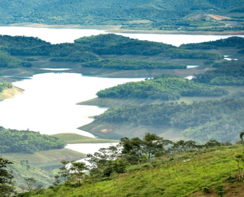 Compromisos para cuidar el ambiente desde el hogar.