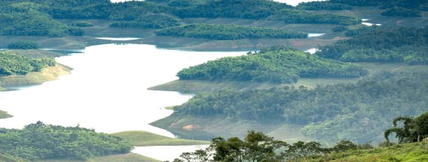 Compromisos para cuidar el ambiente desde el hogar.